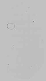 EMAGE:29602