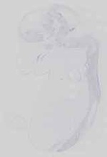 EMAGE:29648
