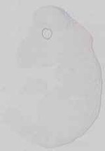 EMAGE:29672