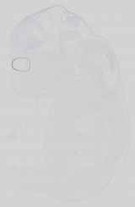 EMAGE:29732