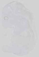 EMAGE:29733