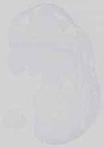 EMAGE:29733