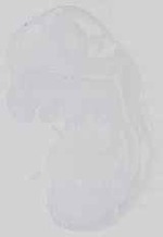 EMAGE:29733