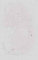 EMAGE:29804