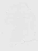 EMAGE:29847