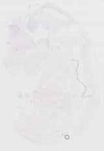 EMAGE:29853