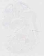 EMAGE:29853