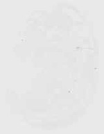 EMAGE:29855