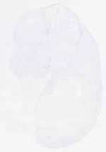 EMAGE:29873