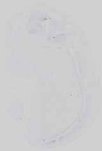 EMAGE:29895