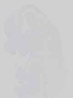 EMAGE:29910