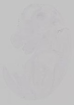 EMAGE:29918