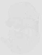EMAGE:29928