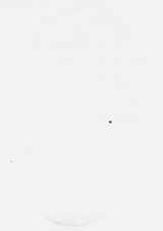 EMAGE:29945
