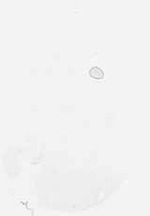 EMAGE:29945