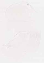 EMAGE:29945