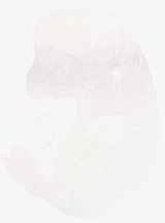 EMAGE:30716
