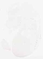EMAGE:30789