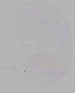 EMAGE:30852