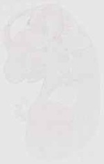 EMAGE:30854