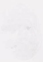EMAGE:30858