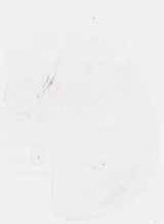 EMAGE:30932