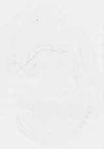 EMAGE:30932