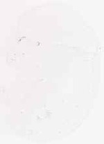 EMAGE:31595