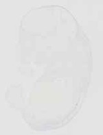 EMAGE:32061