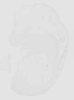 EMAGE:32061