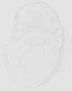 EMAGE:32061