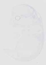 EMAGE:32065
