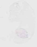 EMAGE:32068