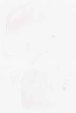 EMAGE:32102