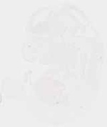 EMAGE:32174
