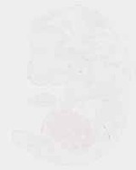 EMAGE:32174