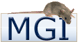 mgi_logo