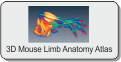 Interactive 3D Mouse Limb Atlas