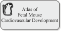 Atlas of Fetal Mouse 
Cardiovascular Development 