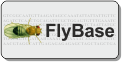 FlyBase