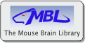 The Mouse Brain Library