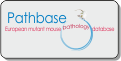 Pathbase