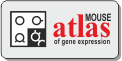 Mouse atlas of gene expression (SAGE)