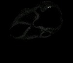 EMAGE:6133