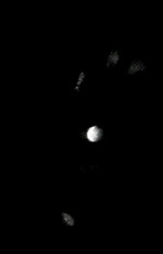 EMAGE:6145